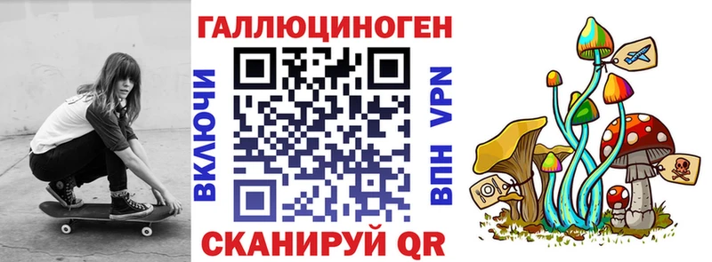 darknet официальный сайт  где купить наркотик  Фатеж  Псилоцибиновые грибы Psilocybine cubensis 